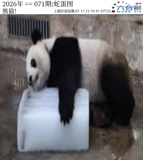 071期正版蛇蛋图[图]