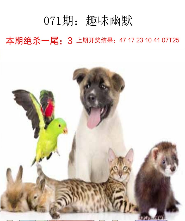 071期趣味幽默[图]