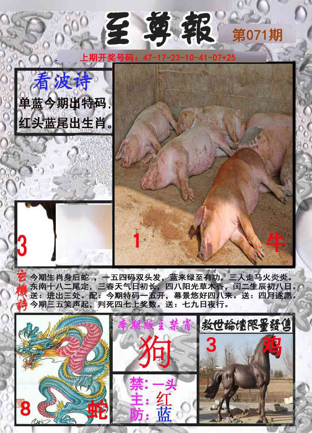 071期至尊报[图]