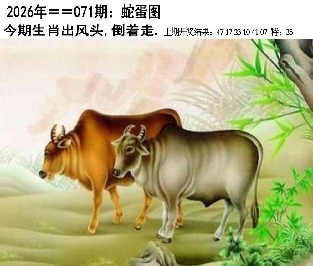 071期另版蛇蛋图[图]