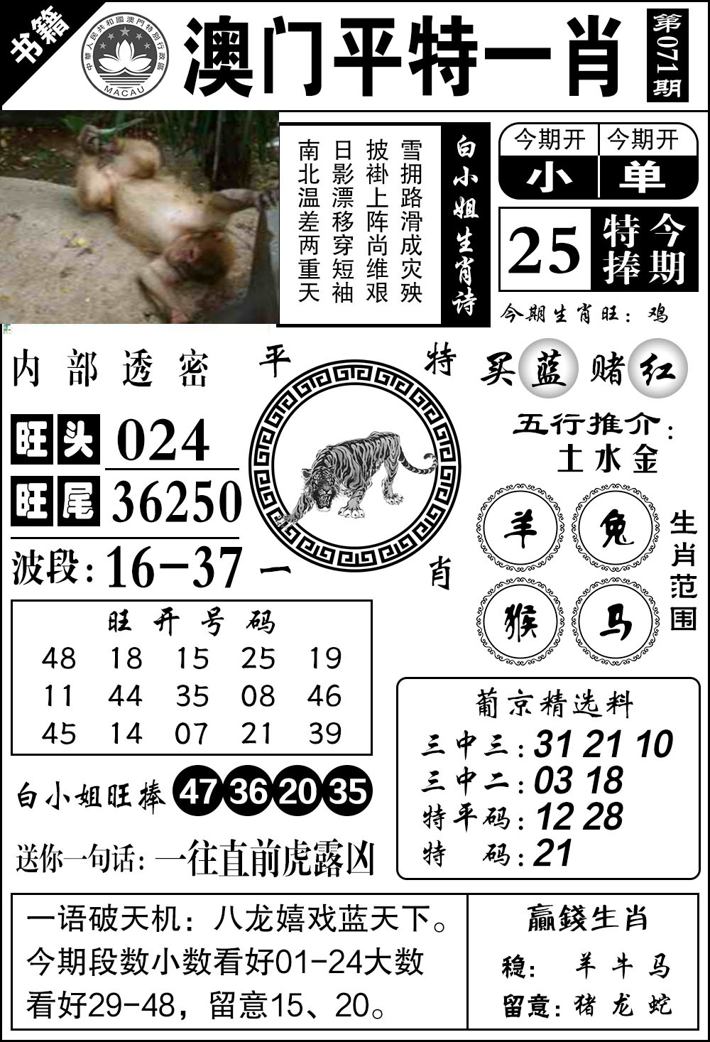 071期澳门内部透密[图]