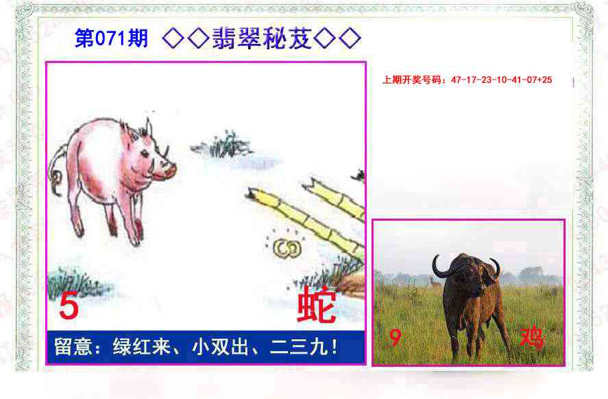 071期翡翠报[图]