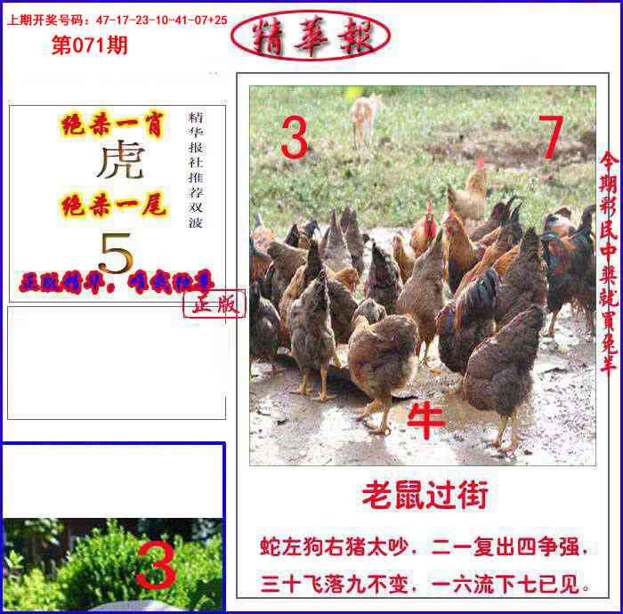 071期新精华报报[图]