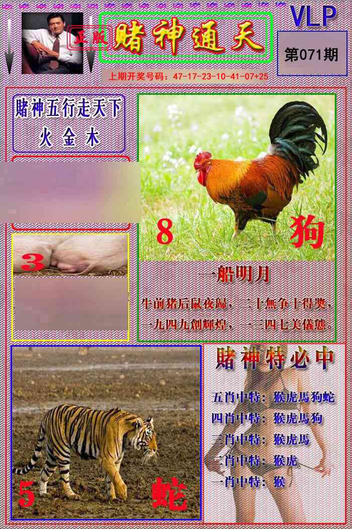 071期赌神通天报[图]