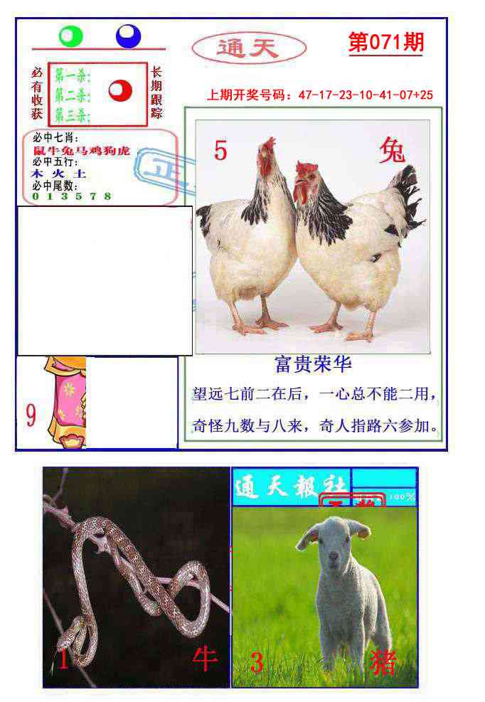 071期通天杀波图2[图]