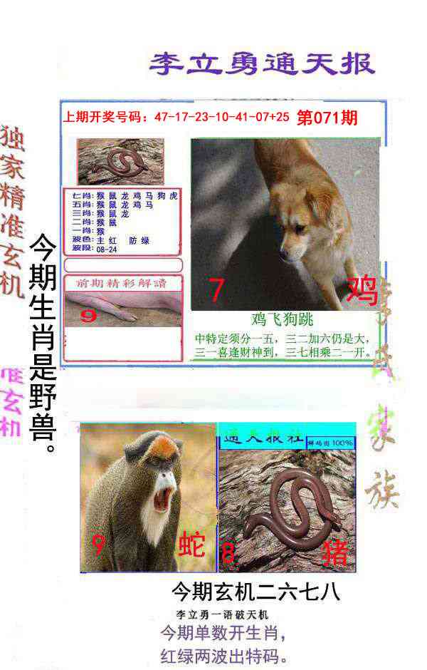 071期李立勇通天报[图]
