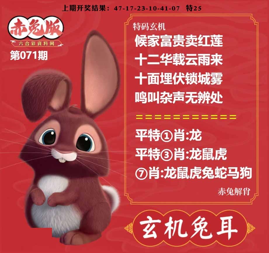 071期玄机兔耳[图]