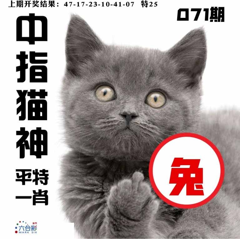 071期中指猫神[图]